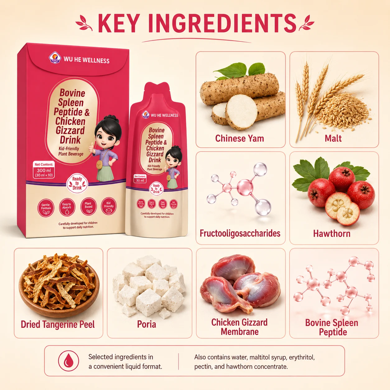 Bovine Spleen Peptide & Chicken Gizzard Drink -Friendly Ready-to-Drink Digestive Wellness Formula, 30 ml × 10 product detail