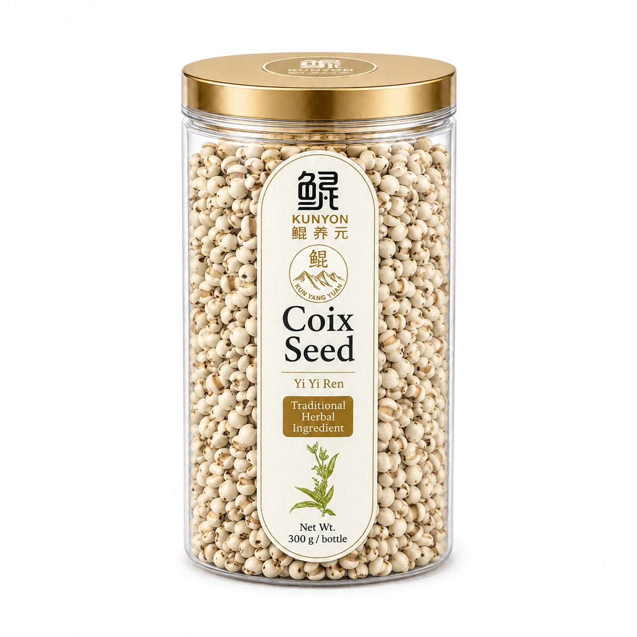 Coix Seed (Yi Yi Ren) – Traditional Food & Herbal Ingredient