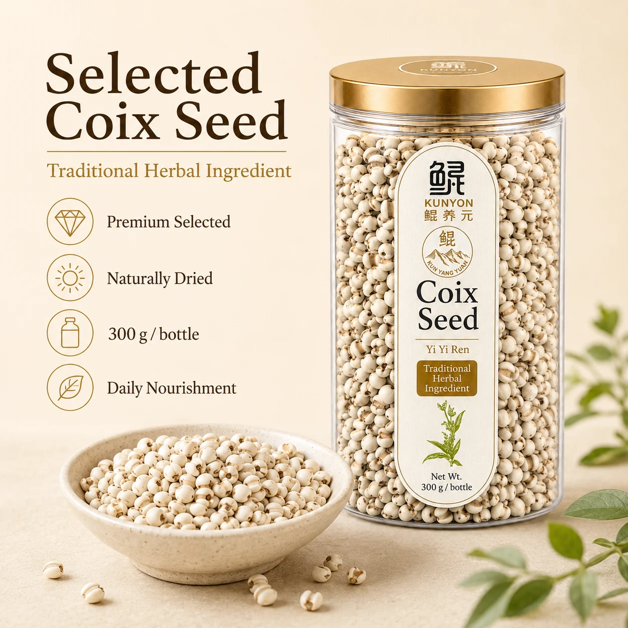 Coix Seed (Yi Yi Ren) – Traditional Food & Herbal Ingredient product detail
