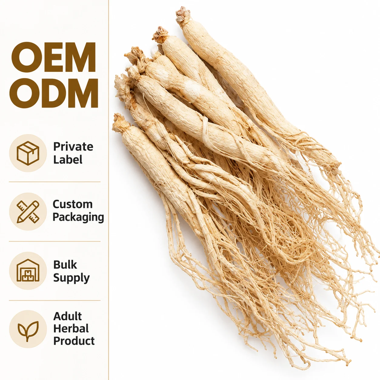 Raw White Ginseng Root, Premium Dried Whole Ginseng Herbal Product for Adults, OEM ODM Private Label Bulk Supply