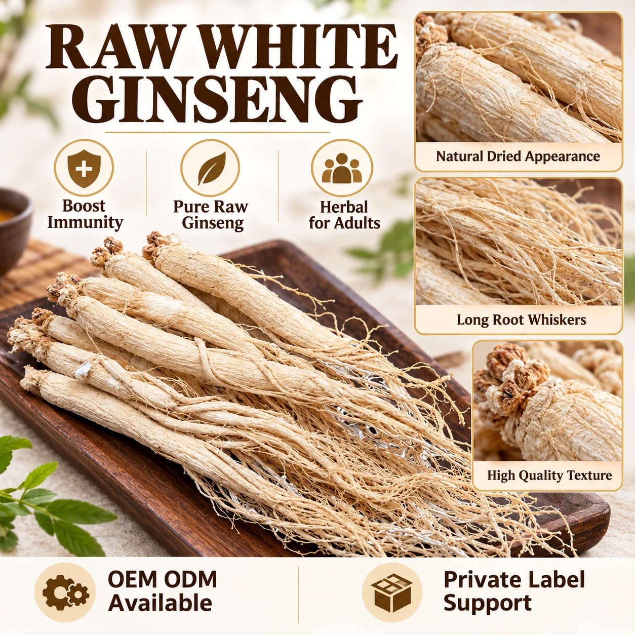 Raw White Ginseng Root, Premium Dried Whole Ginseng Herbal Product for Adults, OEM ODM Private Label Bulk Supply product detail