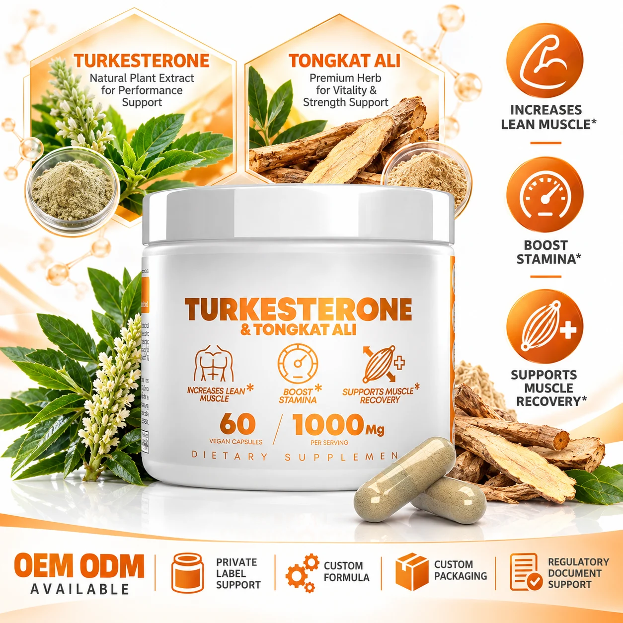 Turkesterone & Tongkat Ali Vegan Capsules, 60 Vegan Capsules, 1000mg Per Serving product detail