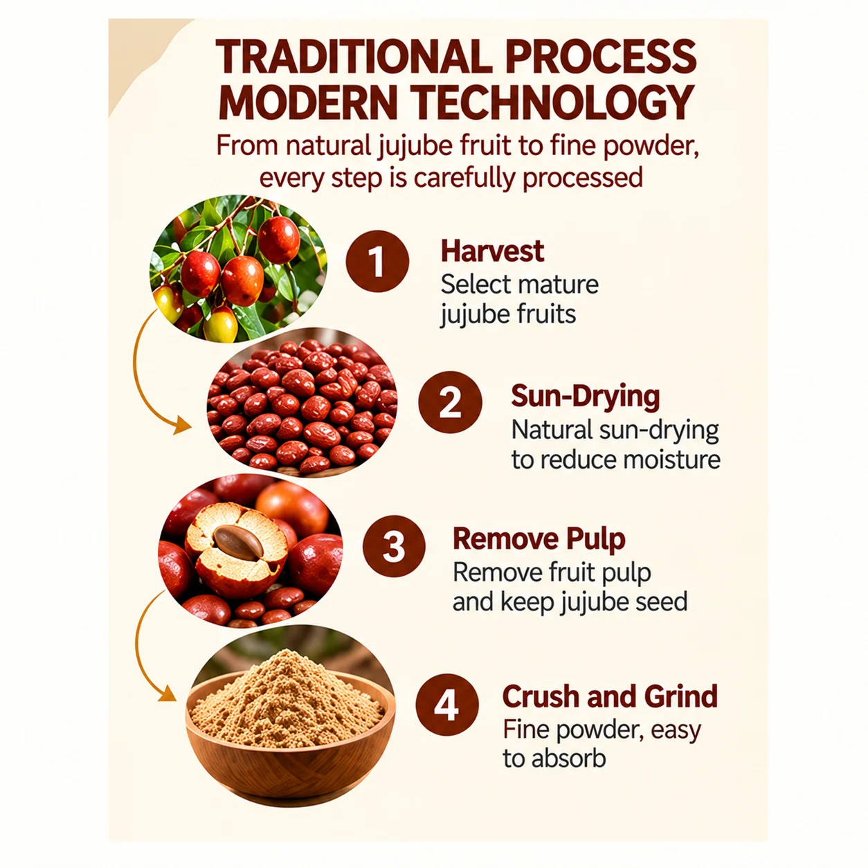 Sour Jujube Seed Powder 250g | Semen Ziziphi Spinosae Herbal Powder | OEM/ODM Private Label product detail